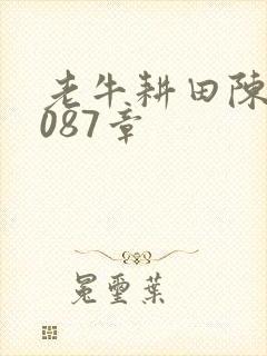 老牛耕田陈雪1087章