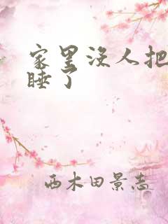 家里没人把姐给睡了