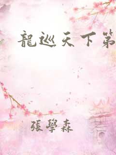 龙巡天下第四部