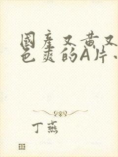 国产又黄又大又色爽的A片小说