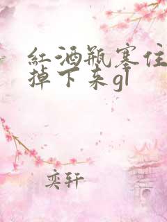 红酒瓶塞住不准掉下来gl