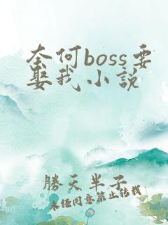 奈何boss要娶我小说