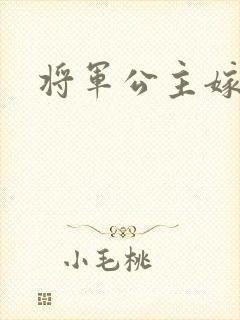 将军公主嫁到
