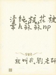 清纯校花被脔日常h苏苏np