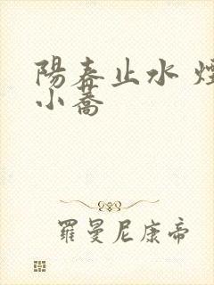 阳春止水 烟树小荞