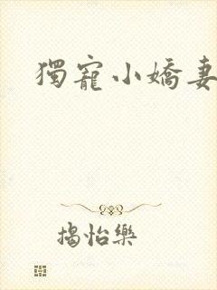 独宠小娇妻