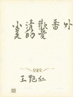 小清欢番外篇完美的爱