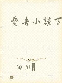爱去小说下载网