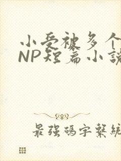 小受被多个攻强NP短篇小说