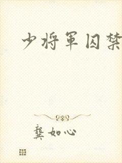 少将军囚禁我