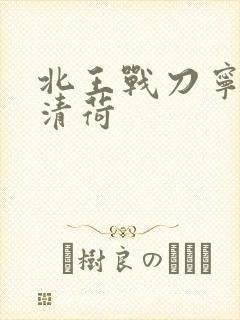 北王战刀宁北苏清荷