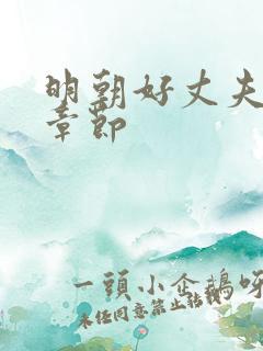 明朝好丈夫最新章节