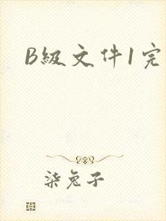 B级文件1完整