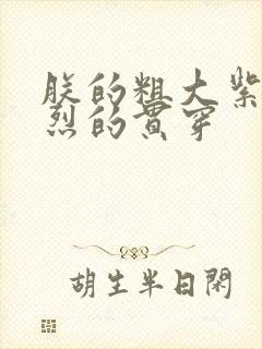 朕的粗大紫红猛烈的贯穿