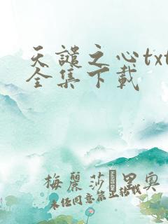 天谴之心txt全集下载