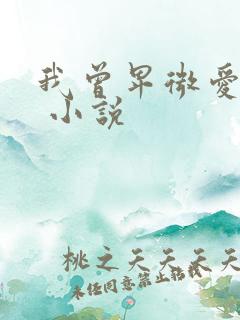 我曾卑微爱过你 小说