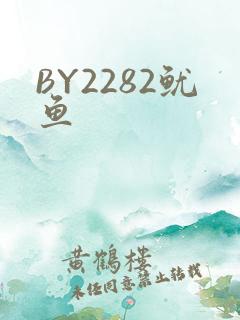 BY2282鱿鱼