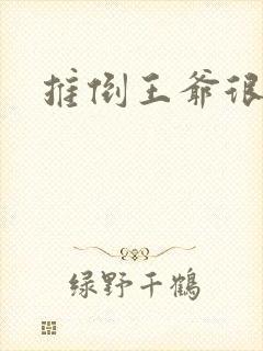 推倒王爷很重要