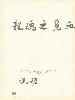 龙魂之觅血心缘