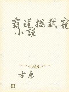 霸道总裁宠上天 小说