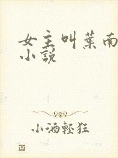 女主叫叶南初的小说