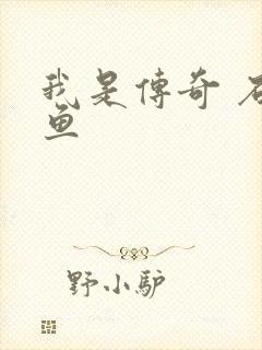 我是传奇 石章鱼