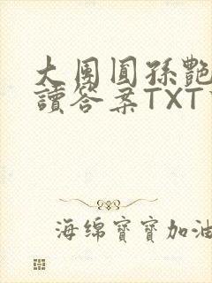 大团圆孙艳梅阅读答案TXT下载