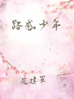 路感少年