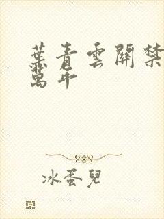 叶青云关禁闭一万年