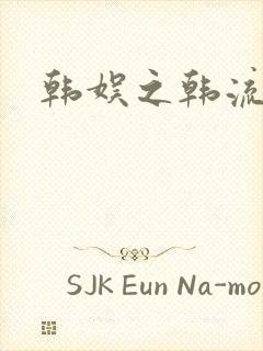 韩娱之韩流全球