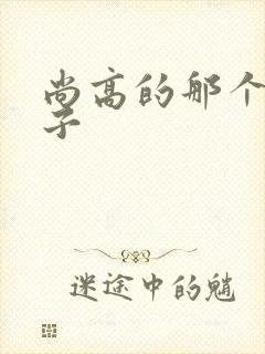 尚高的那个臭小子