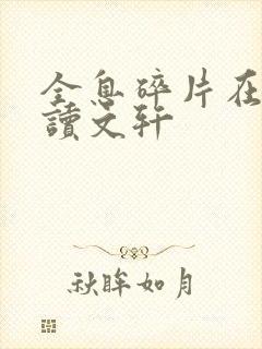 全息碎片在线阅读文轩