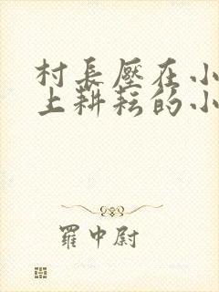 村长压在小娥身上耕耘的小说