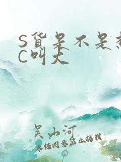 S货是不是想挨C叫大