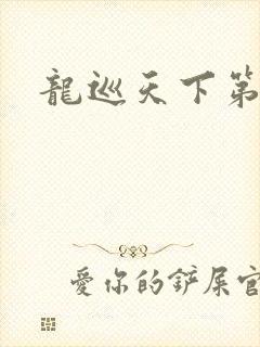 龙巡天下第四部