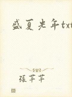 盛夏光年txt