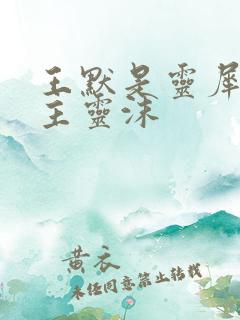 王默是灵犀阁公主灵沫