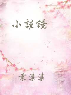 小说镜