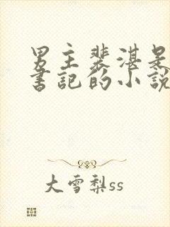 男主裴湛是省委书记的小说