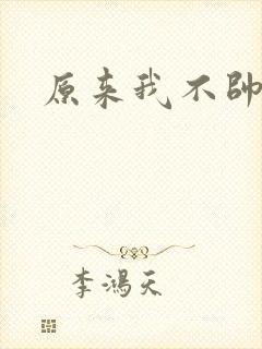 原来我不帅小说