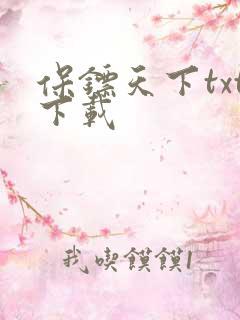 保镖天下txt下载