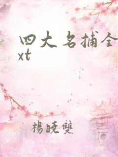 四大名捕全集txt