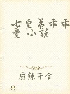 七皇弟乖乖让吾爱 小说