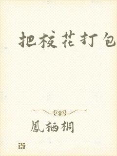 把校花打包带走