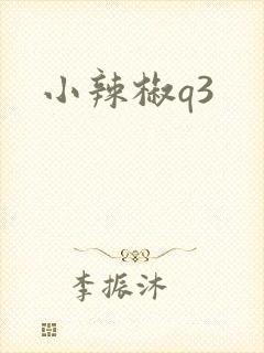小辣椒q3