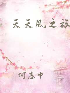 天天风之旅辅助