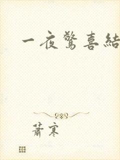 一夜惊喜结局