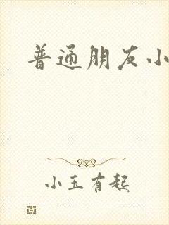 普通朋友小说