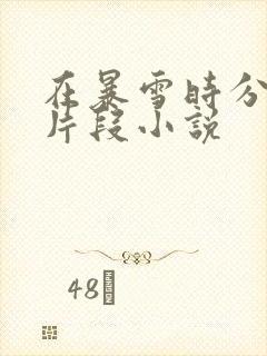 在暴雪时分高能片段小说