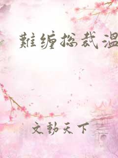 难缠总裁温柔爱